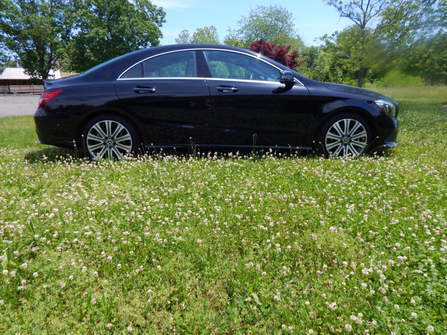 2019 Black /Black Leather Mercedes-Benz CLA-Class CLA250 4MATIC (WDDSJ4GB2KN) with an 2.0L L4 DOHC 16V engine, 7A transmission, located at 6528 Lower York Road, New Hope, PA, 18938, (215) 862-9555, 40.358707, -74.977882 - Here we have a beautiful Mercedes CLA 250 with a 2.0L 4 cylinder engine putting power to all four wheels via an automatic transmission. Options include: black leather, dual power seats, dual climate controls, AM/FM/CD/MEDIA and navigation radio, tilt steering wheel, cruise control, automatic headlig - Photo#4